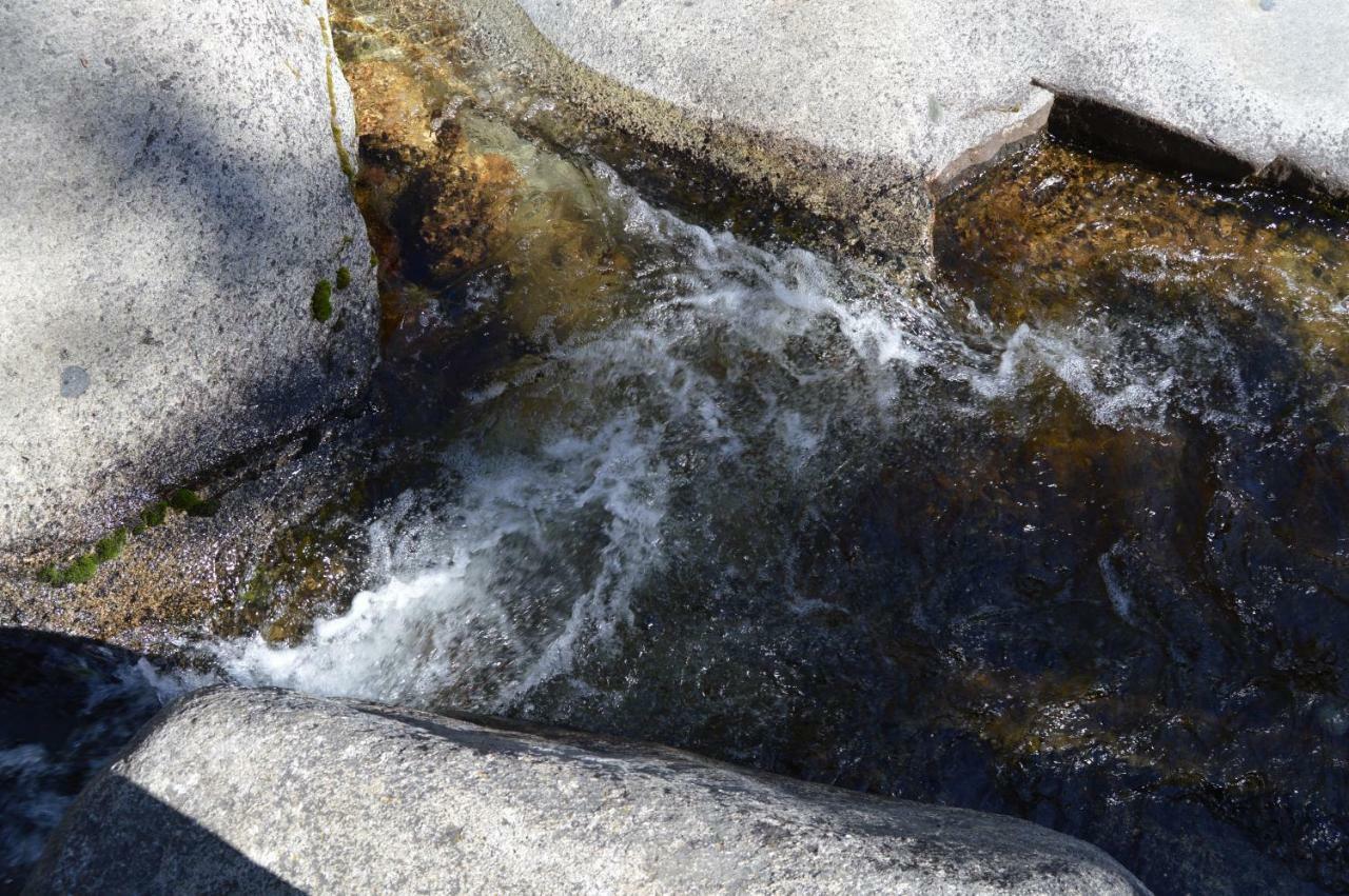 Stony Creek Lodge Sequoia National Park Buitenkant foto