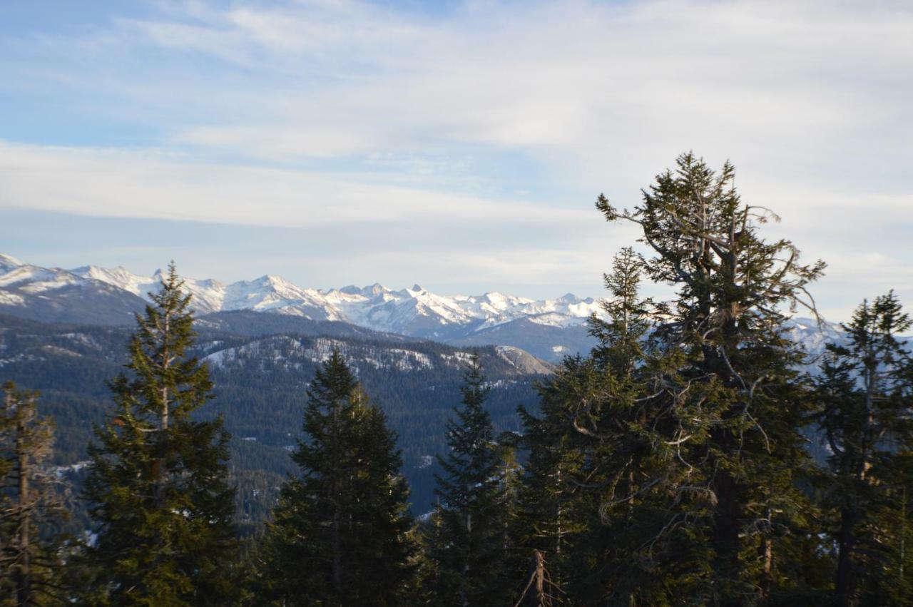 Stony Creek Lodge Sequoia National Park Buitenkant foto